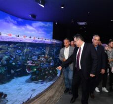 Trabzon Akvaryum'u bir yılda 293 bin 718 kişi ziyaret etti