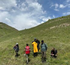 Tunceli’de mantar toplamak için gittikleri dağda kaybolan 2 kişi bulundu