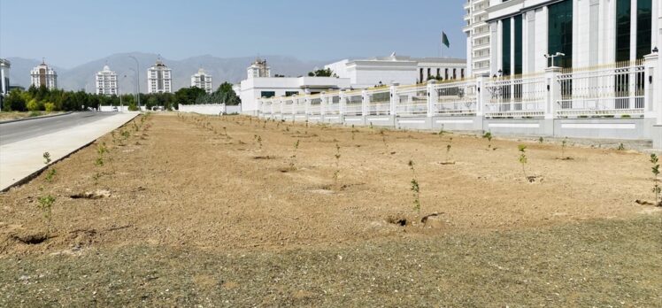 Türkmenistan’da Haydar Aliyev anısına ağaç dikildi