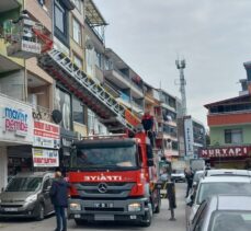 Zonguldak'ta evin penceresinden kaçan papağanı itfaiye yakaladı