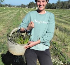 Antalya'da girişimci kadın, ürettiği kuşkonmazı yurt dışına da ihraç ediyor