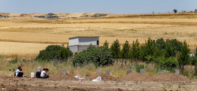 Diyarbakır'da 9 kişinin öldüğü silahlı kavgayla ilgili 5 kişi gözaltına alındı
