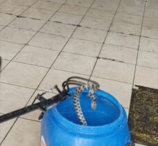 Fethiye'de otomobilin kaportasına giren yılan yakalanarak doğaya salındı