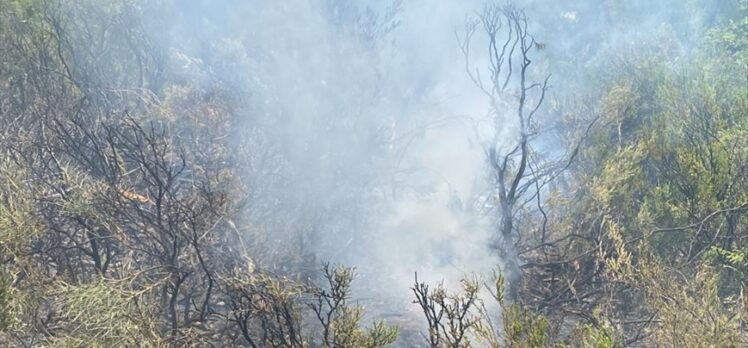 Fethiye'de yıldırım isabet eden ormanlık alanda çıkan yangın söndürüldü