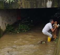 Giresun'da derede mahsur kalan köpek kurtarıldı