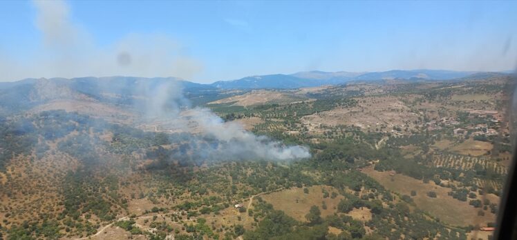 GÜNCELLEME – İzmir'de ormanlık alanda çıkan yangın kontrol altına alındı