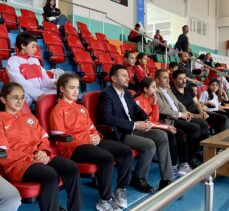Kırşehir'de düzenlenen Türkiye Karate Şampiyonası'nda ilk gün müsabakaları tamamlandı
