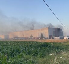 Kocaeli'de geri dönüşüm fabrikasında çıkan yangında 3 işçi dumandan etkilendi