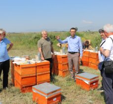 TİKA’dan Kuzey Makedonya’daki arıcılara destek