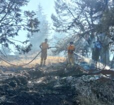 GÜNCELLEME – Adana'da çıkan orman yangını kontrol altına alındı