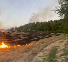 Adana'nın İmamoğlu ilçesinde orman yangını çıktı