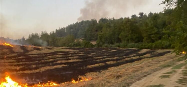 Adana'nın İmamoğlu ilçesinde orman yangını çıktı