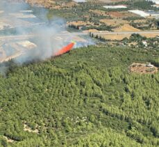 Antalya'nın Aksu ilçesinde orman yangını çıktı