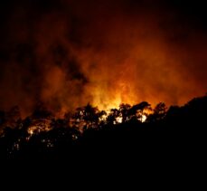 GÜNCELLEME 3- Antalya'nın Kemer ilçesinde orman yangını çıktı