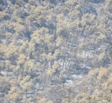 Antalya'nın Kemer ilçesinde yanan alanlar havadan görüntülendi