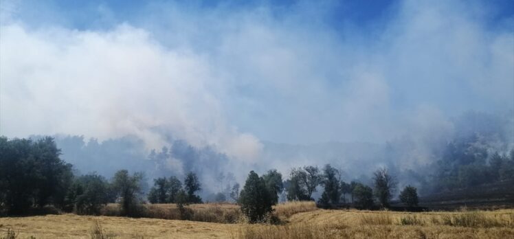 Bolu'da çıkan orman yangınına ekiplerce müdahale ediliyor