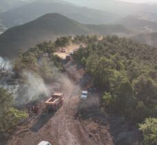 GÜNCELLEME – Bolu'da yıldırım düşmesi sonucu çıkan orman yangını kontrol altına alındı