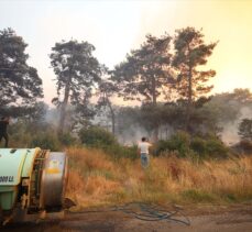 GÜNCELLEME – Çanakkale'deki orman yangınına havadan ve karadan müdahale ediliyor