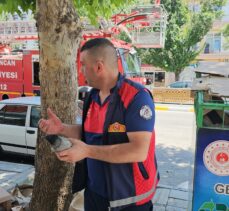 Erzincan’da vatandaşları kargaların saldırısından itfaiye ekipleri kurtardı
