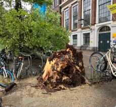 Hollanda'da etkili olan fırtınada aracının üzerine ağaç devrilen kişi öldü