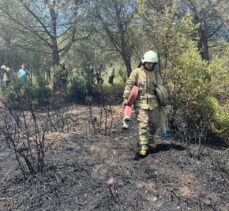 GÜNCELLEME – Sultangazi'de ormanlık alanda yangın çıktı