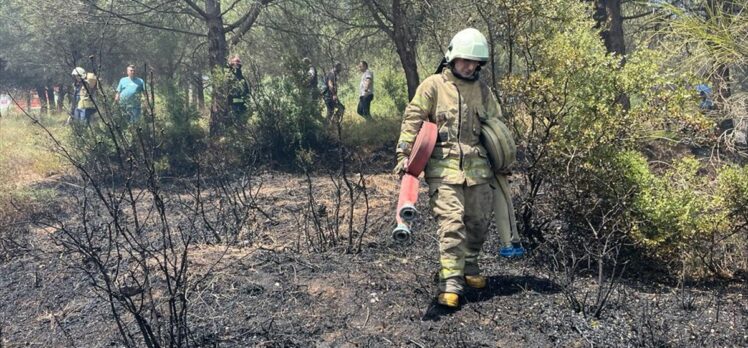 GÜNCELLEME – Sultangazi'de ormanlık alanda yangın çıktı
