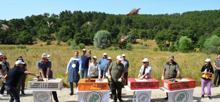 Kütahya’da 200 kınalı keklik ve tedavisi tamamlanan kızıl şahin doğaya salındı