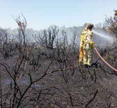 GÜNCELLEME – Manavgat'ta çıkan orman yangını kontrol altına alındı