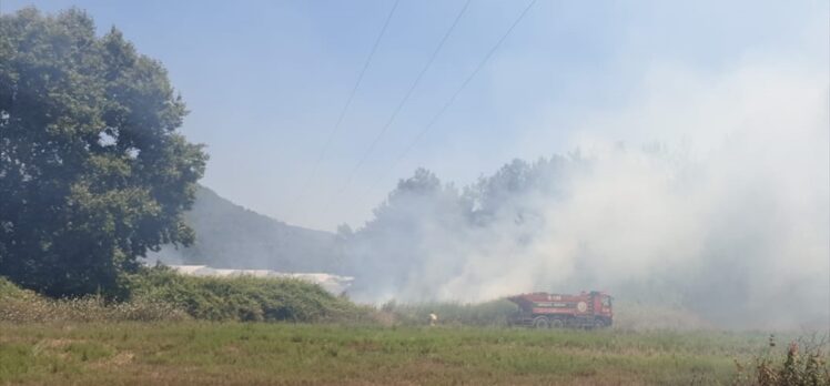 Manavgat'ta makilik alanda çıkan yangın söndürüldü