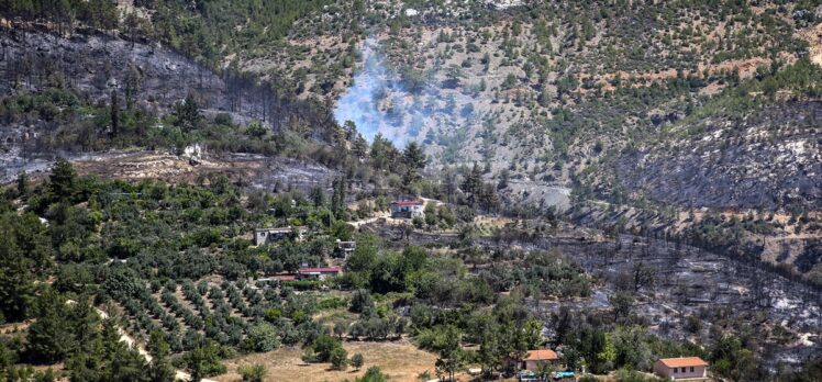 GÜNCELLEME 3 – Mersin Gülnar'daki orman yangını kontrol altına alındı