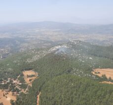 GÜNCELLEME – Milas'ta ormanlık alanda çıkan yangın kontrol altına alındı