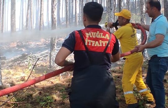GÜNCELLEME – Muğla'da çıkan orman yangını kontrol altına alındı