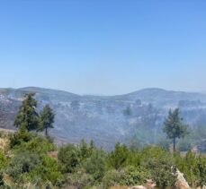 GÜNCELLEME – Muğla'nın Milas ilçesinde çıkan orman yangını kontrol altına alındı
