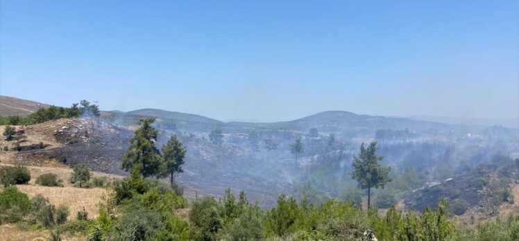 GÜNCELLEME – Muğla'nın Milas ilçesinde çıkan orman yangını kontrol altına alındı
