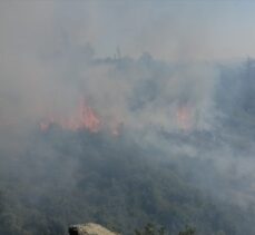 GÜNCELLEME – Osmaniye Düziçi'nde çıkan orman yangını kontrol altına alındı