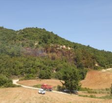 GÜNCELLEME – Osmaniye'de çıkan orman yangını kontrol altına alındı