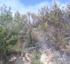 Osmaniye'de çıkan orman yangınına müdahale ediliyor