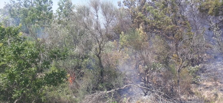 Osmaniye'de çıkan orman yangınına müdahale ediliyor