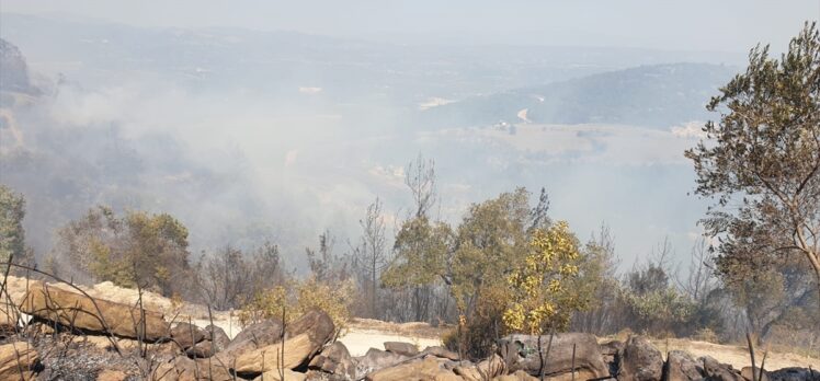 GÜNCELLEME – Osmaniye'de orman yangını çıktı