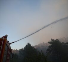 GÜNCELLEME – Sakarya'da ormanlık alanda çıkan yangın kontrol altına alındı
