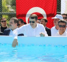 Şanlıurfa'da boğulma vakalarını önlemek için portatif 5 yüzme havuzu açıldı