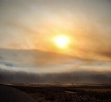 Suriye'nin kuzeybatısındaki Lazkiye'de orman yangınları 3 gündür sürüyor