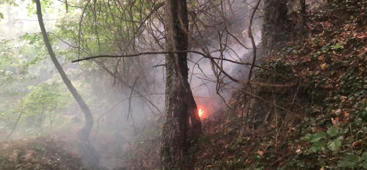 GÜNCELLEME – Uludağ'ın eteklerinde çıkan orman yangını kontrol altına alındı