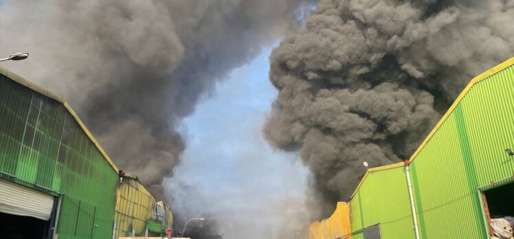 Adana'da geri dönüşüm tesisinde yangın çıktı