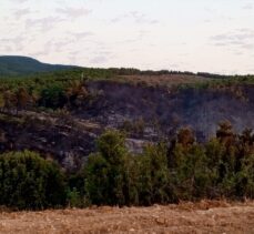 GÜNCELLEME 2 – Afyonkarahisar'da çıkan orman yangını söndürüldü
