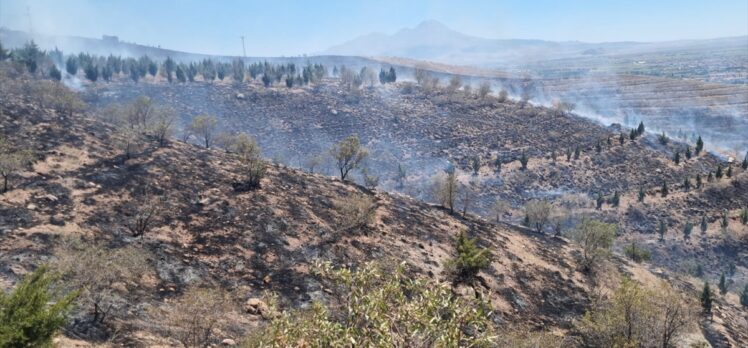 Aksaray'da ormanlık alana sıçrayan kuru ot yangını söndürüldü
