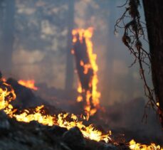 GÜNCELLEME 2 – Antalya Akseki'de orman yangını çıktı