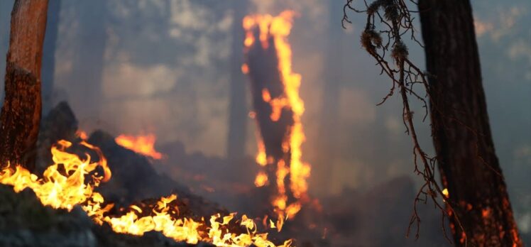 GÜNCELLEME 2 – Antalya Akseki'de orman yangını çıktı