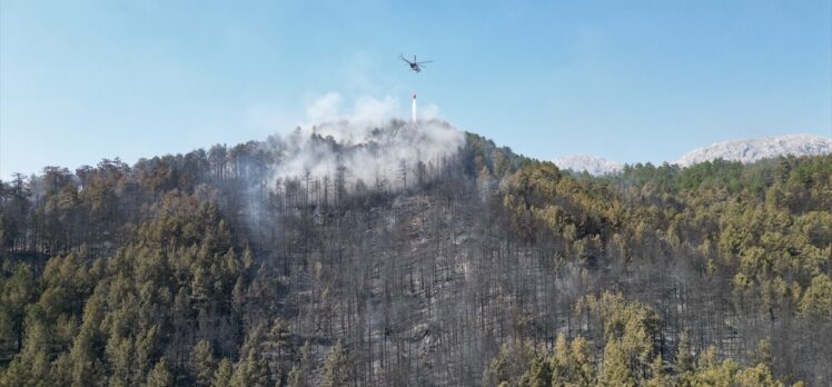 Antalya'nın Akseki ilçesindeki orman yangını kontrol altına alındı