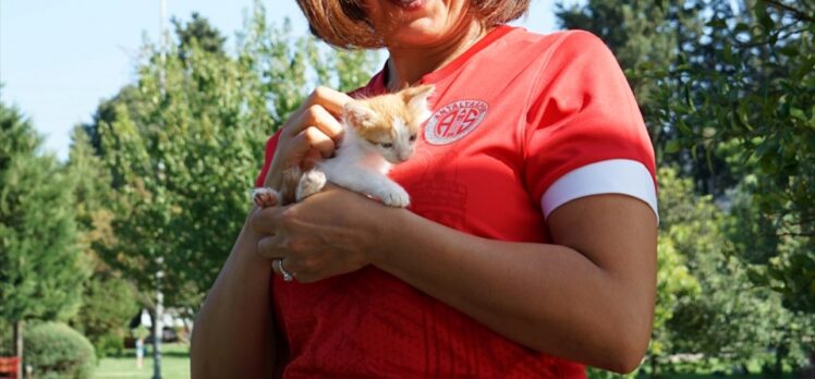 Antalyaspor, kırmızı formasını sokak hayvanlarına adadı